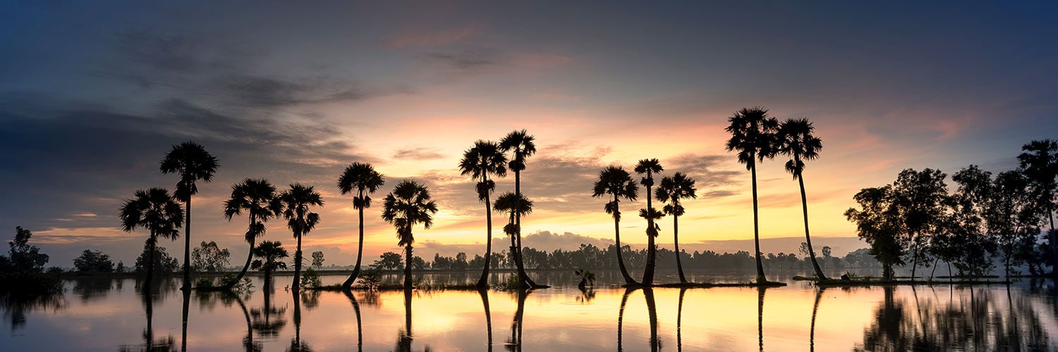 vacation rental revenue manager